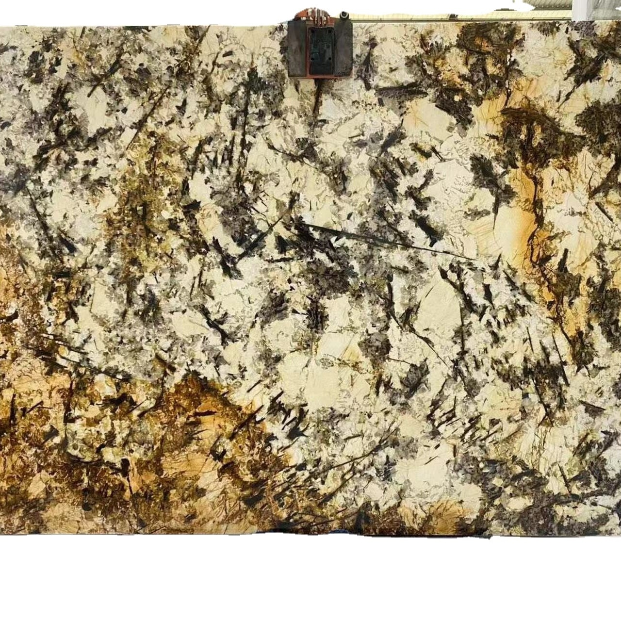 Wholesale Gold granite slabs  for kitchen countertop and wall background