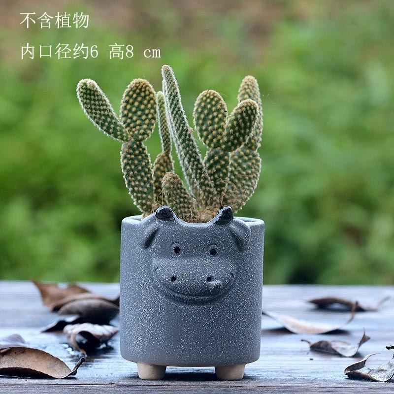 Supply Animal Shape Ceramic Succulent Flower Pot