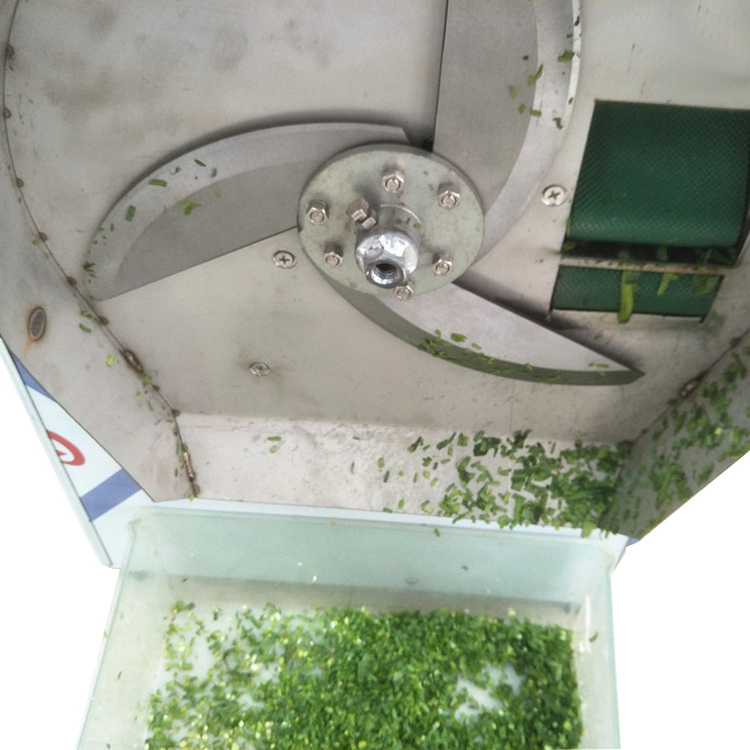 dicing machine Adjustable thickness automatic parsley vegetable cutting machine leaf stem vegetable cutting machine