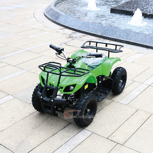 2019 NEW 500W 48V Mini Electric ATV Electric Quad for Kids