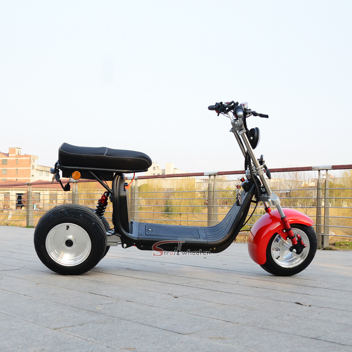 Electric Passenger Tricycle EEC 2000W 3000W 4000W Reverse Trike 3-Wheel Electric Mobility Scooters Citycoco