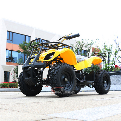 kids /children 4 wheel electric mini ATV 500w 48v electric ATV