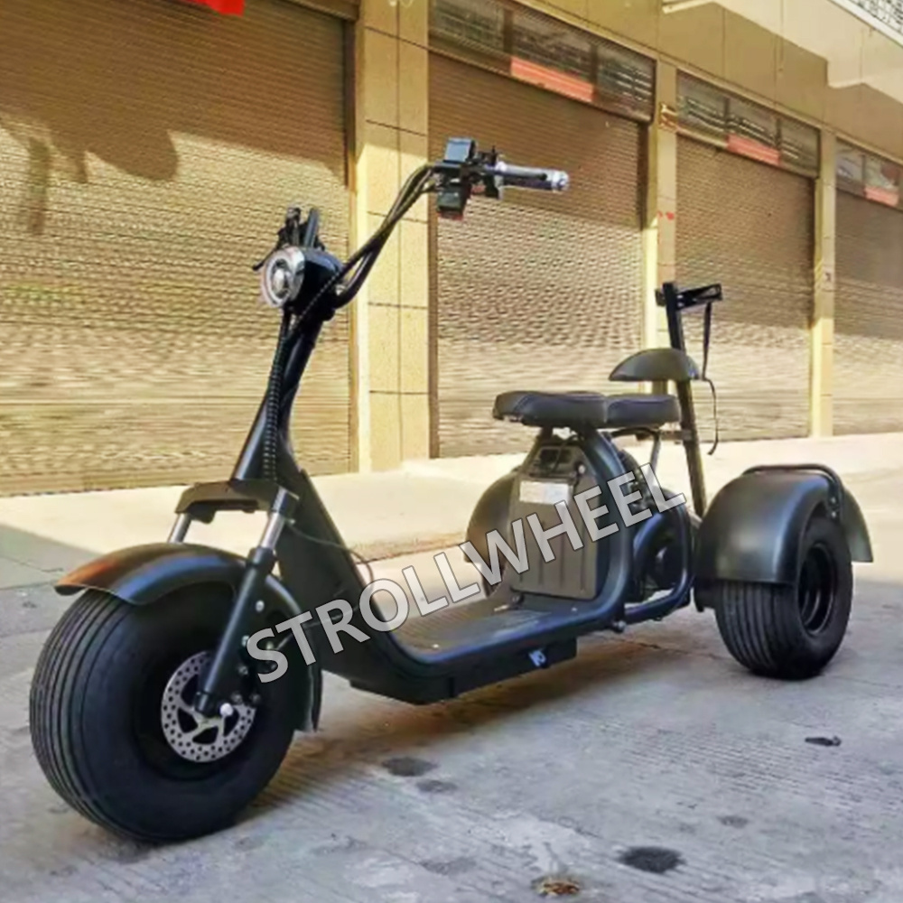 1500w 60v 12ah tricycle electric scooter fat tire 3 wheel electric scooter with golf bag holder electric motorcycle