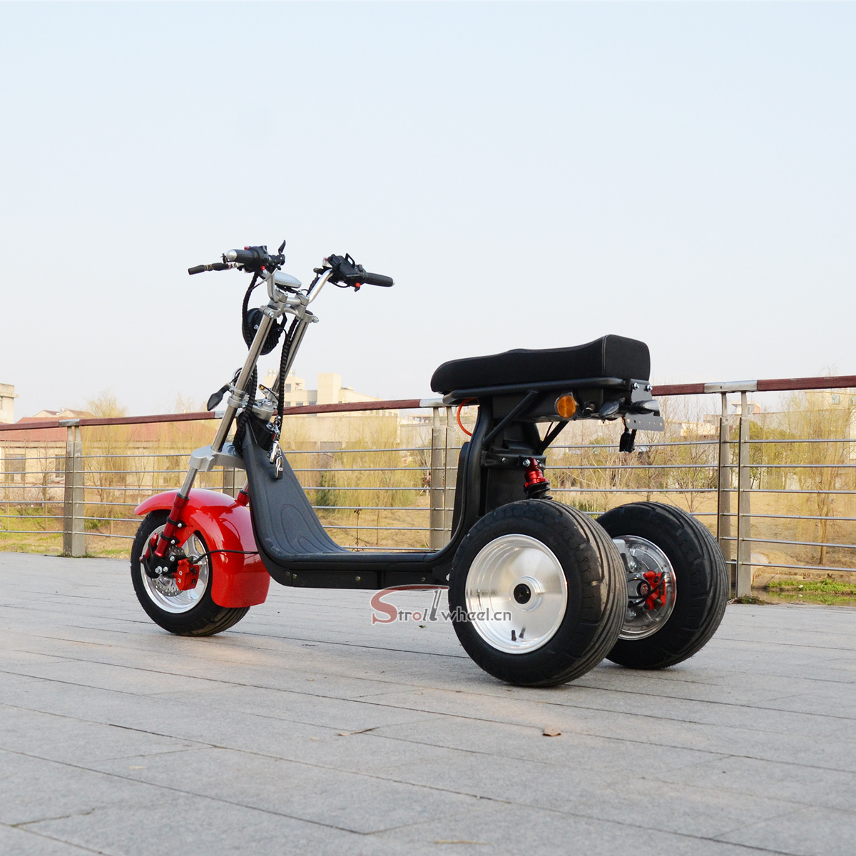 Electric Passenger Tricycle EEC 2000W 3000W 4000W Reverse Trike 3-Wheel Electric Mobility Scooters Citycoco