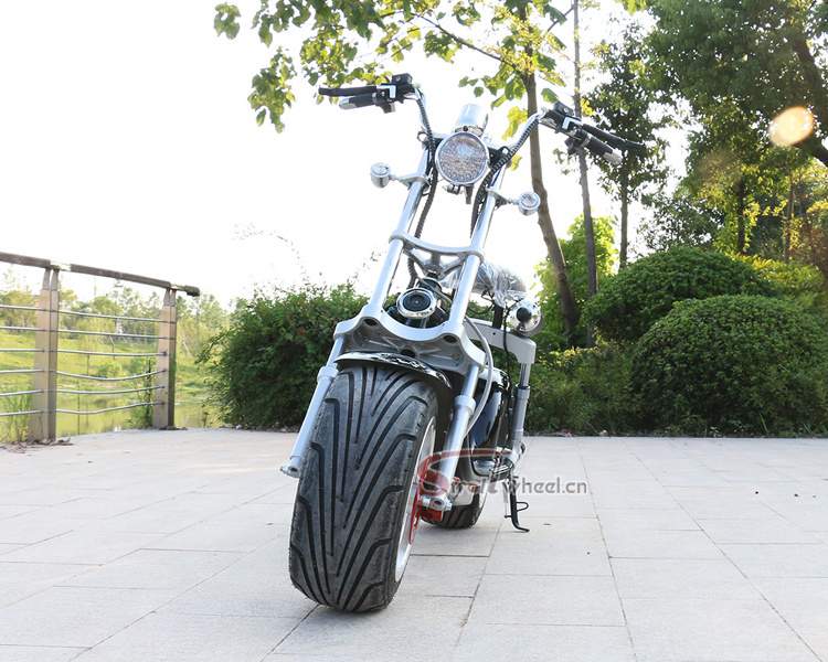 Holland Warehouse double battery electric scooter 2019 EEC citycoco 1000w 1500w 2000w fat tire motorcycle