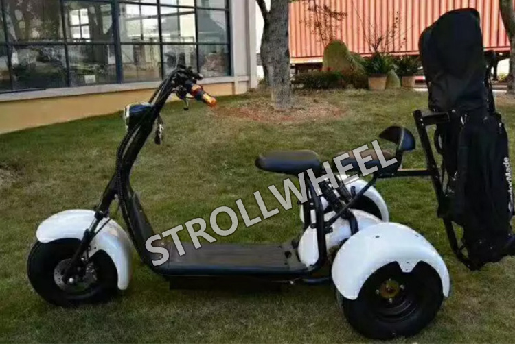 1500w 60v 12ah tricycle electric scooter fat tire 3 wheel electric scooter with golf bag holder electric motorcycle