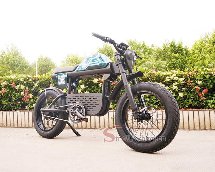 e bike fat tire FT-01-20AH Electric Bike 1000w all terrain mountain city 20 inch Fat tire electric bike ebike