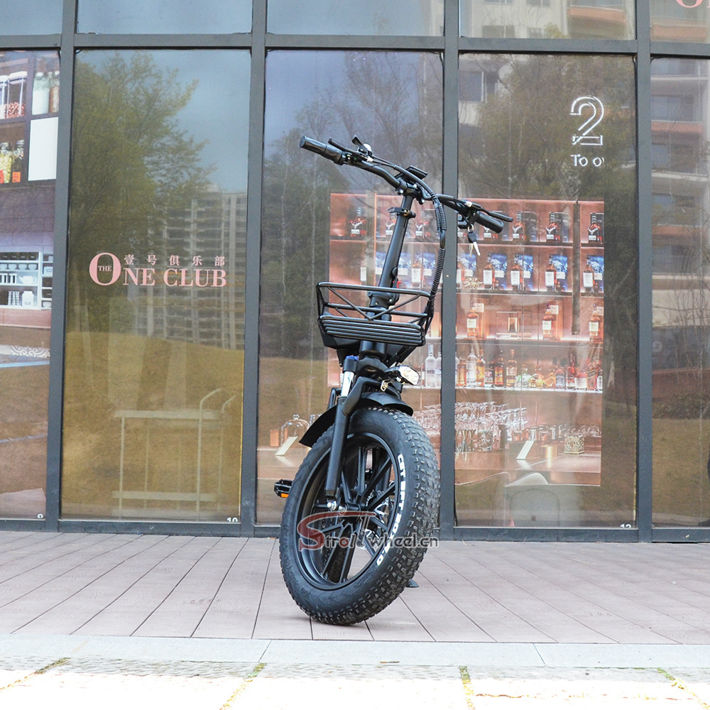 popular Fat Tire x12 self-balancing electric scooters Dirt Full Suspension e bike 1000w 48v cheap city bike