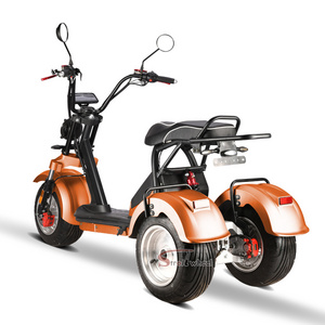 Swing tricycle 2000w 2*60v 20ah battery scooter for Adult bike citycoco 45km/h motorcycle electric