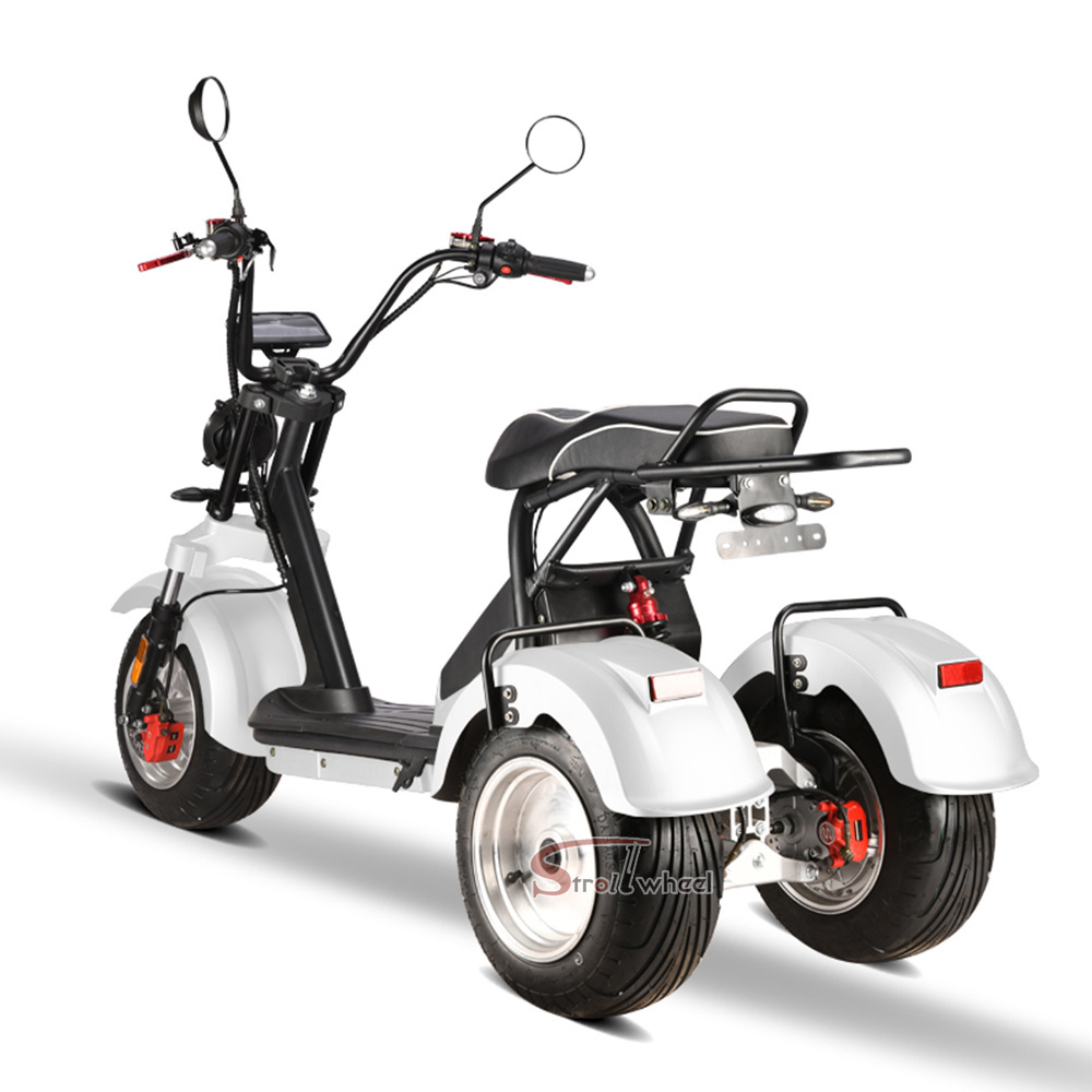 Swing tricycle 2000w 2*60v 20ah battery scooter for Adult bike citycoco 45km/h motorcycle electric