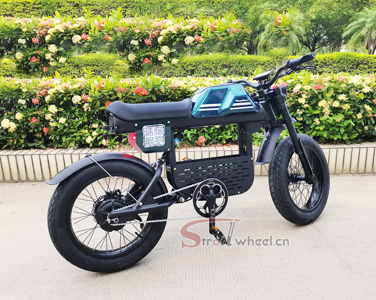 e bike fat tire FT-01-20AH Electric Bike 1000w all terrain mountain city 20 inch Fat tire electric bike ebike