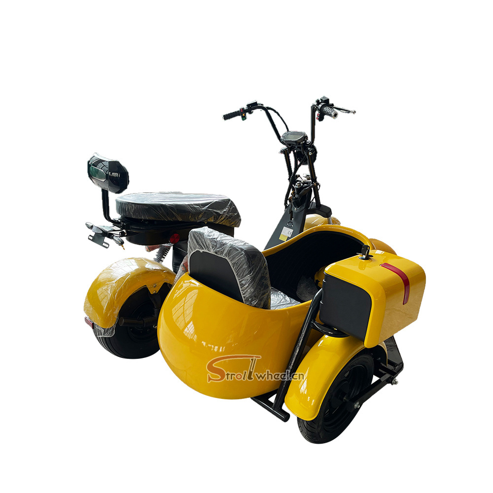 Electric scooter ciytcoco EU warehouse cheap adult bike electric cargo tricycle with side car