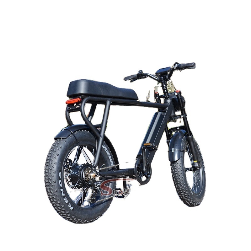 Electric bike new products suspension 20