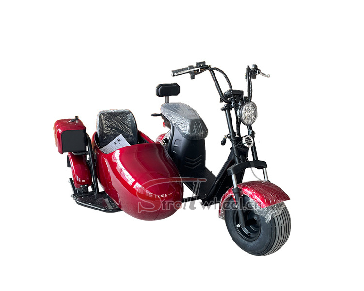 Electric scooter ciytcoco EU warehouse cheap adult bike EEC COC electric cargo tricycle with side car