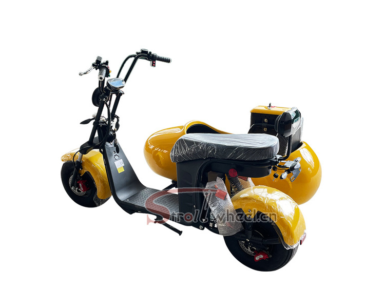 Electric scooter ciytcoco EU warehouse cheap adult bike electric cargo tricycle with side car