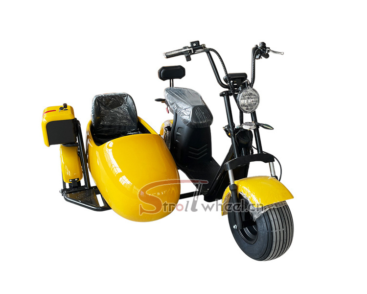 Electric scooter ciytcoco EU warehouse cheap adult bike electric cargo tricycle with side car