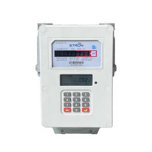 Sales well G1.6 G2.5 G4 STS Lora-rf Wireless remote reading Smart Gas Meter