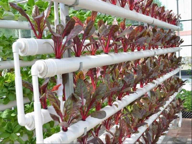 pvc materials plastic hydroponic pipe/tube