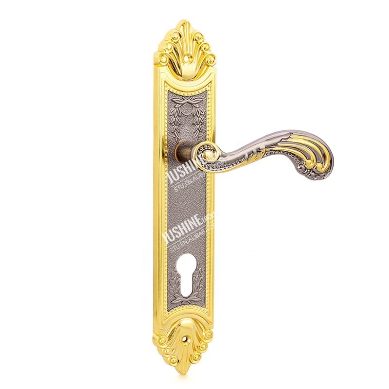 Polished Gold Thumb Latch inside Indoor Bedroom Modern Door Handles with Locks