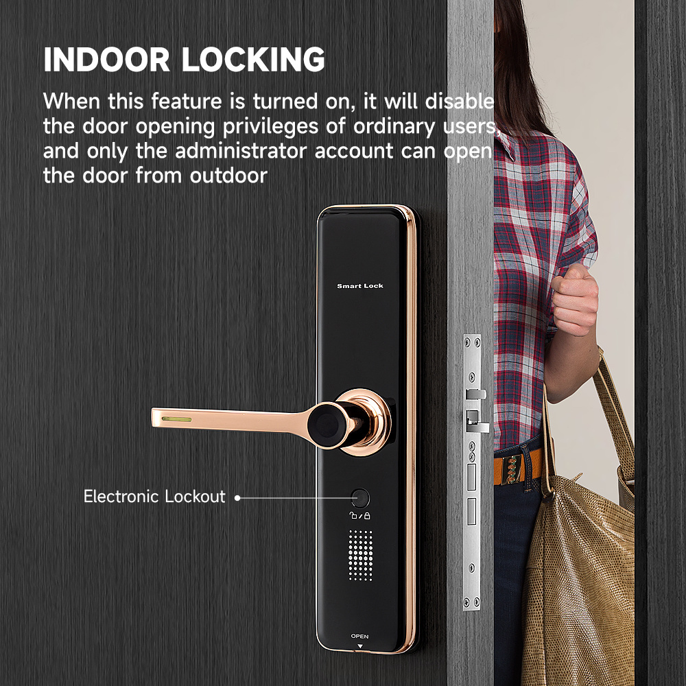 Hotel Apartment Buildings 5A Ring Phone Smart Lock China Manufacturer WiFi Unlock Fingerprint Door Lock