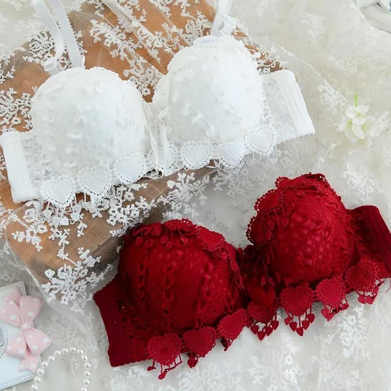 High Quality Wholesale Lovely Girls Cute Underwire Push Up Lace Embroidered bra and panty set for women