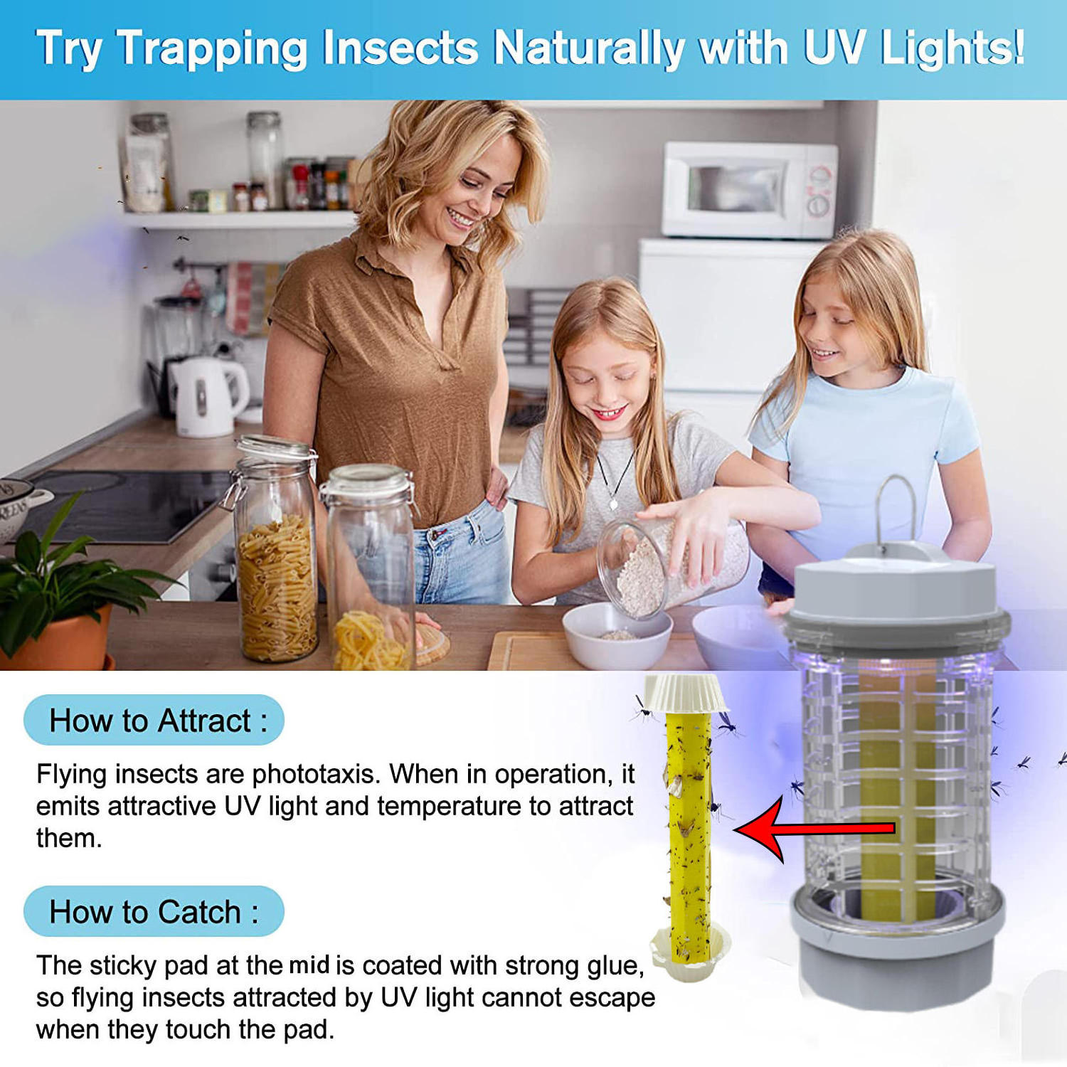 Electric Fruit Fly Insect Mosquito Traps Home Office Gnat Moth Bug Killer Catcher Uv Lamp Attractant And Sticky Board Paper Trap