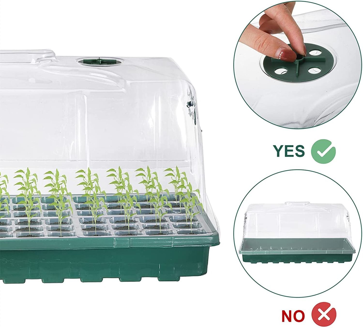 Seed Starter Tray with Humidity Dome and Base, 144 Cells Adjustable Seedling Nursery Clone Tray, Garden Propagator