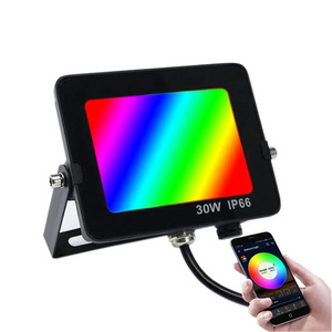 Multi Color Changing Projector 35W 50W 100w RGBW Garden Lighting Stage Wireless Remote Control LED Flood Light