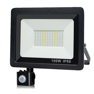 High Lumen Ce Rohs Construction Smd Projector Ip65 Garden 10w 20w 30w 50w 100w 150w 200w 300w Floodlight Outdoor Led Flood Light