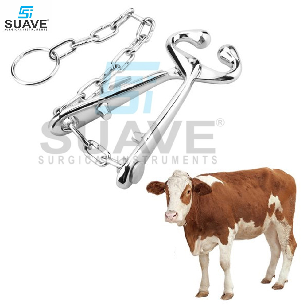 Cow Nose Clip Stainless Steel Cow Nose Ring Bull Holder With Chain Veterinary Instruments By SUAVE SURGICAL  INSTRUMENTS