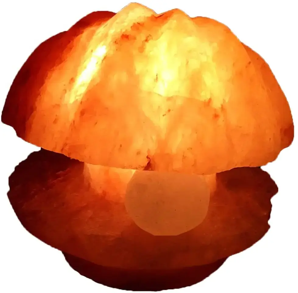 Himalayan Shell Shape Salt Lamps with Accessories, Best Selling Salt Lamps, Crafted Himalayan Salt Lamps