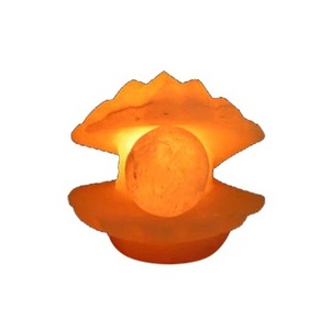 Himalayan Shell Shape Salt Lamps with Accessories, Best Selling Salt Lamps, Crafted Himalayan Salt Lamps