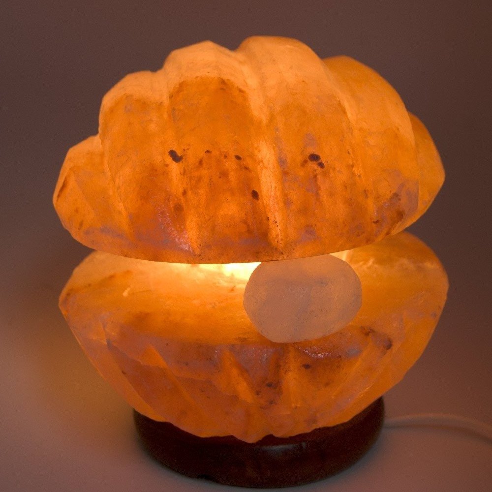 Himalayan Shell Shape Salt Lamps with Accessories, Best Selling Salt Lamps, Crafted Himalayan Salt Lamps