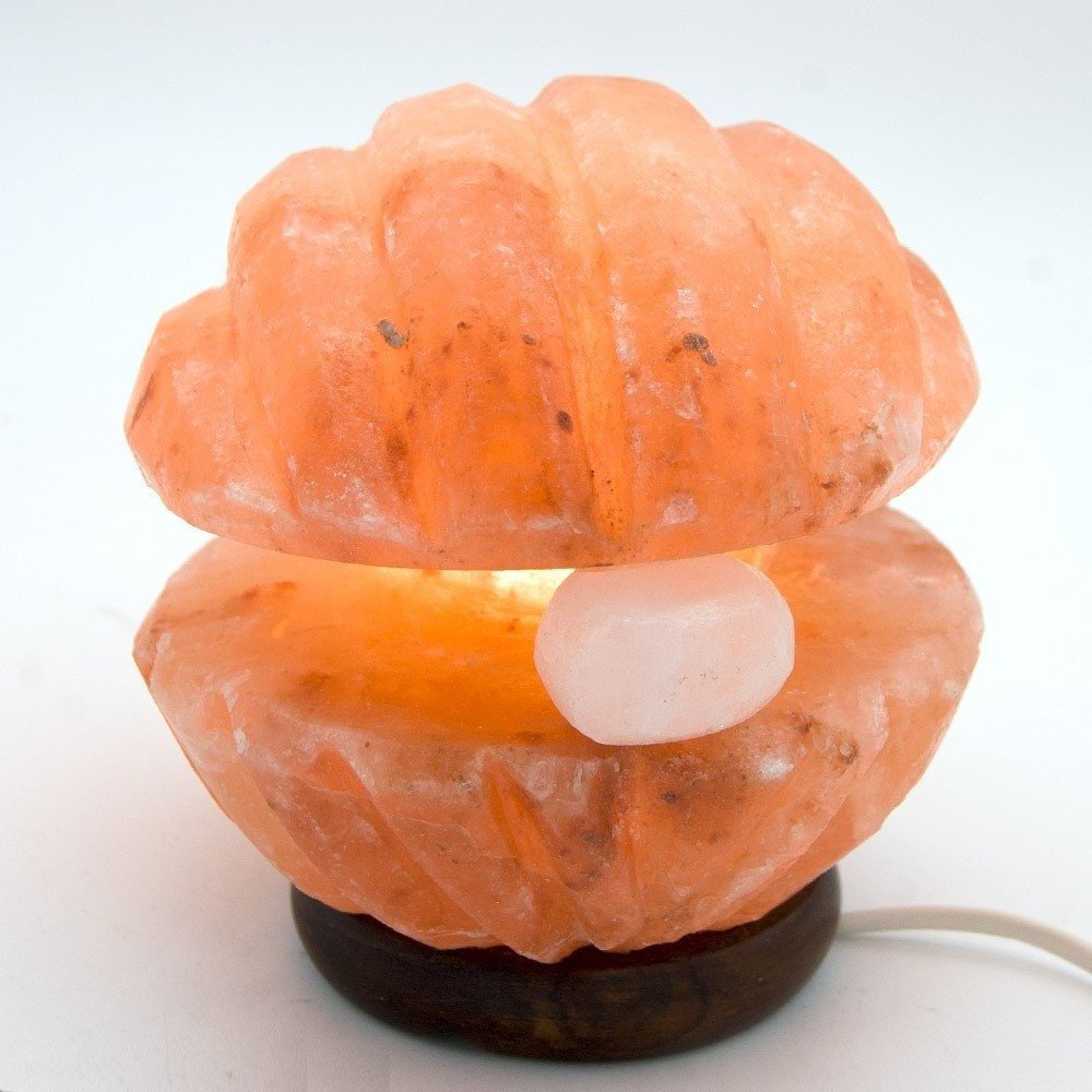 Himalayan Shell Shape Salt Lamps with Accessories, Best Selling Salt Lamps, Crafted Himalayan Salt Lamps