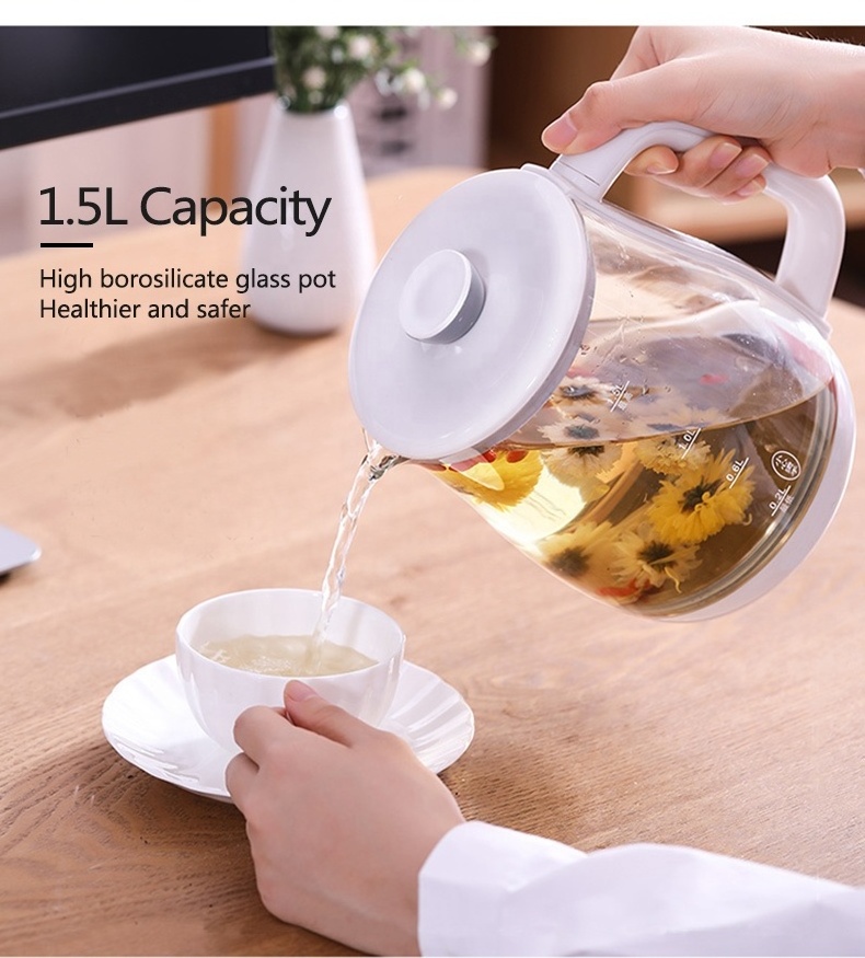 Multi-Use Electric Kettle High Borosilicate Glass Tea Maker and Programmable Control Panel Base kitchen appliances glass kettle