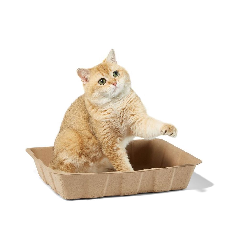 New Style Biodegradable Odor Elimination Disposable Cat Litter Box Eco-Friendly Disposable Pet Cat litter Box Tray Toilet