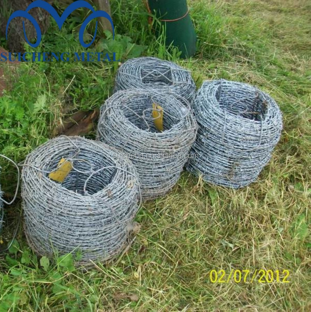 Guangzhou Barbed Iron Wire/Barbed Wire Nails/Barbed Wire 500m (Factory)