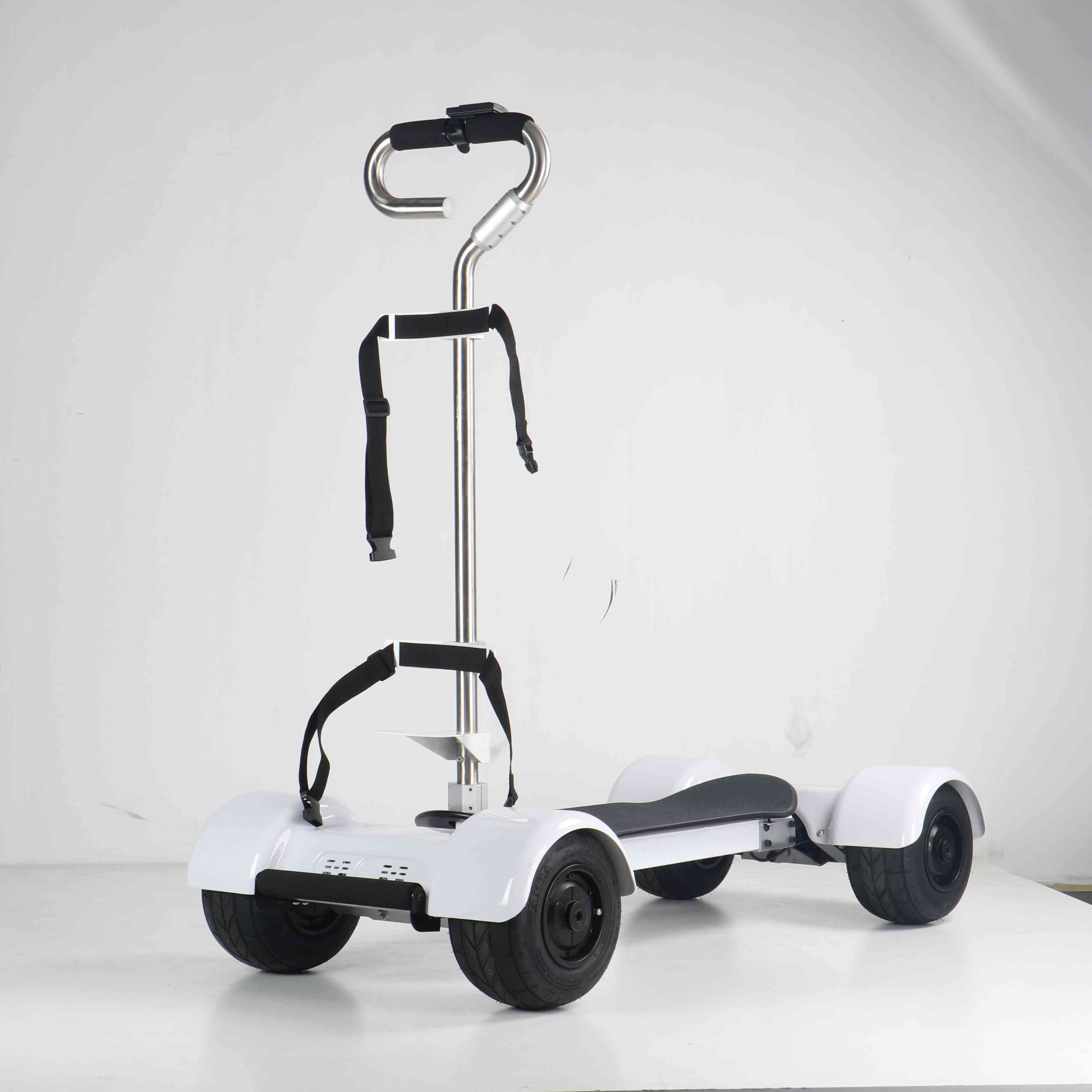 Exquisite Appearance High Speed Golf Bike Electric Scooter 2000w With Big Wheels