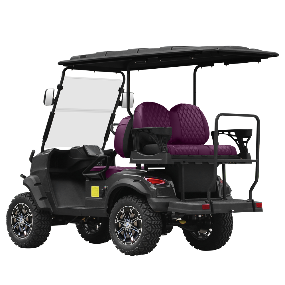 2024 New Design 4 Wheels 2 seats electric golf cart