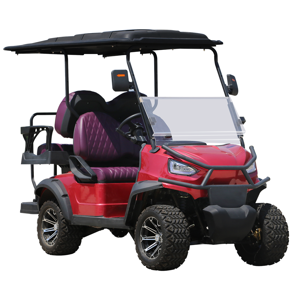 2024 New Design 4 Wheels 2 seats electric golf cart