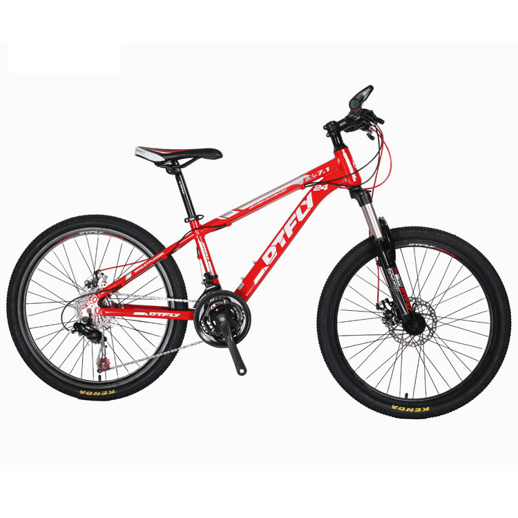 mountain bike carbon full suspension 29/26'' 21 speed mountain snow bike with big fat tyre/bicleta mountain bike