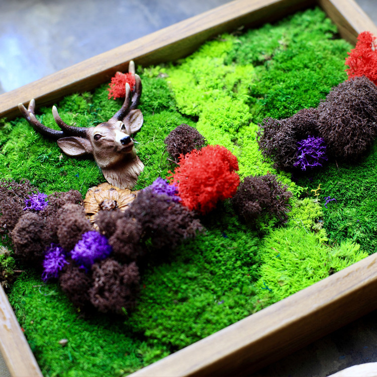 Ready Made Customized Office Decoration 3D Real Natural Moss Wall Art Frame Wholesale Reindeer Moss Stabilized