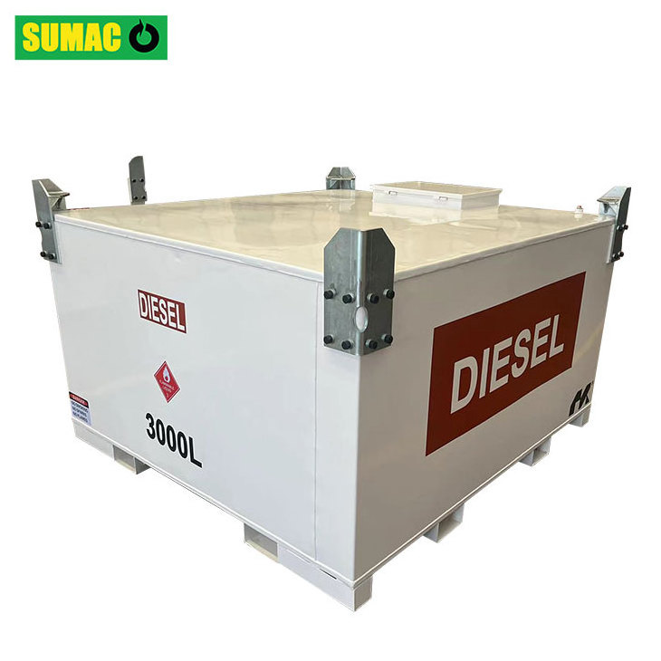 Carbon Steel Skid Mounted Double Walled Diesel Fuel Ibc Tank 3000L Petrol Gasoline Storage Tank