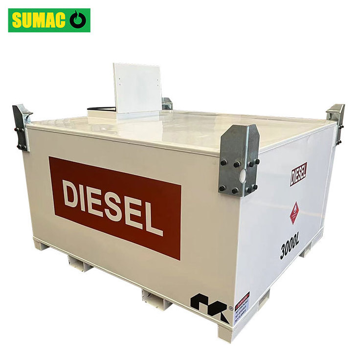 Carbon Steel Skid Mounted Double Walled Diesel Fuel Ibc Tank 3000L Petrol Gasoline Storage Tank