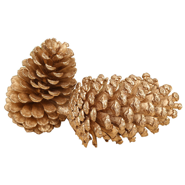 2023 most popular dry flowers natural real dried pine cone for home Christmas  Decoration