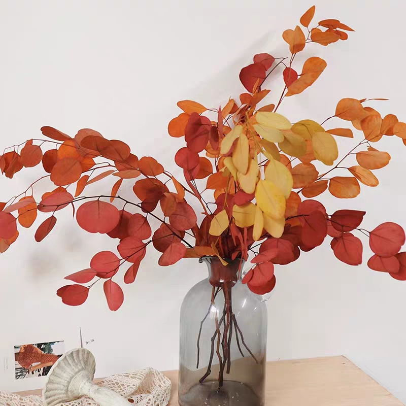 Natural Dried Flower SumerFlora Real Dried Flower Bleaching Colors Eucalyptus Apple Leaf Popular Home Decoration Ideas