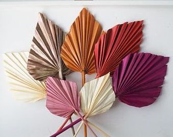 Natural spray paint palm leaf 25 cm wide dried flower bouquet decoration palm spear