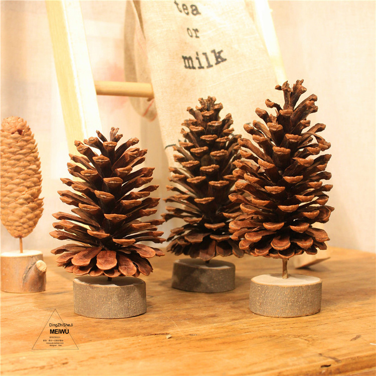 2023 most popular dry flowers natural real dried pine cone for home Christmas  Decoration