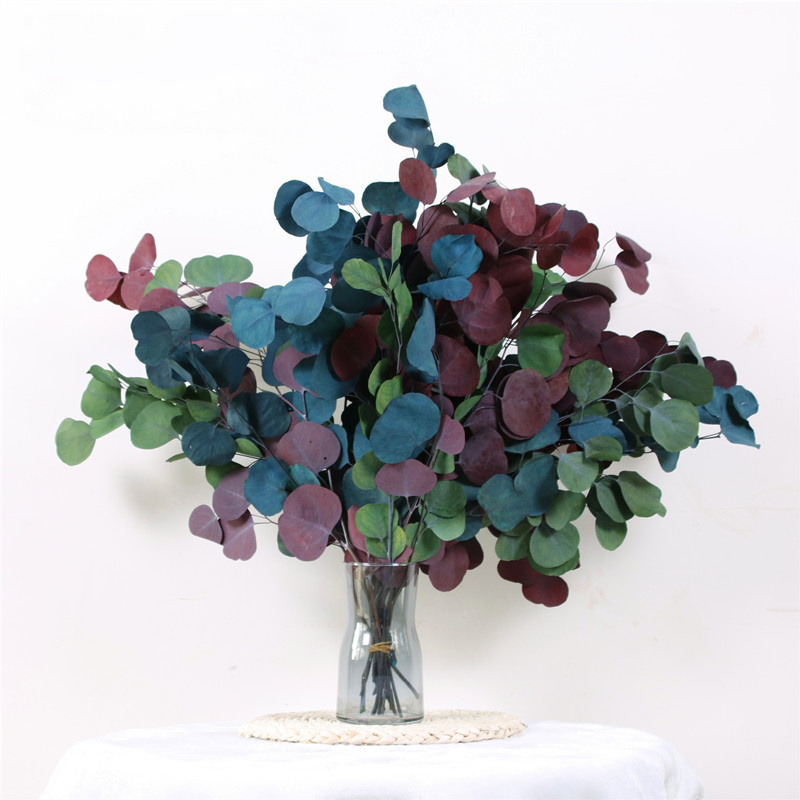 Natural Dried Flower SumerFlora Real Dried Flower Bleaching Colors Eucalyptus Apple Leaf Popular Home Decoration Ideas