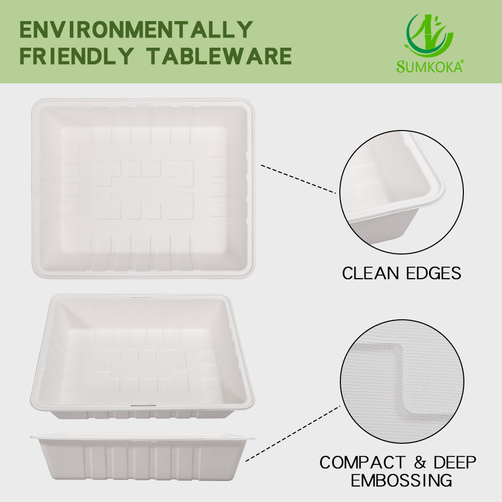 100% Sugarcane Bagasse Pulp Safe Environmentally Friendly Refrigerator Used Disposable Tray with Lid